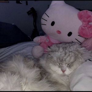 Meet your Posher, Brealynn